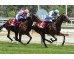  Carrera: P.Teresa Monta: V.Janacek Caballo: Making Time